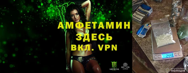 МДПВ Бородино
