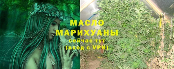 МДПВ Бородино