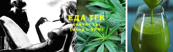 МДПВ Бородино