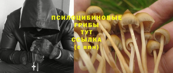 МДПВ Бородино