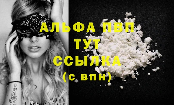 прущие грибы Белокуриха