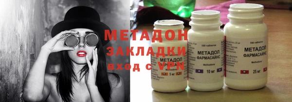 прущие грибы Белокуриха