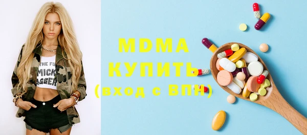 МДПВ Бородино