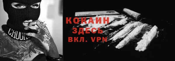 МДПВ Бородино