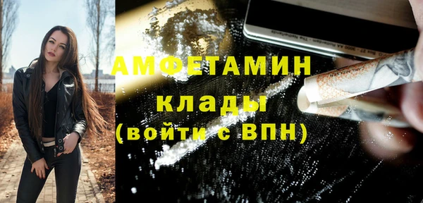МДПВ Бородино
