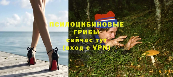 mdpv Бугульма